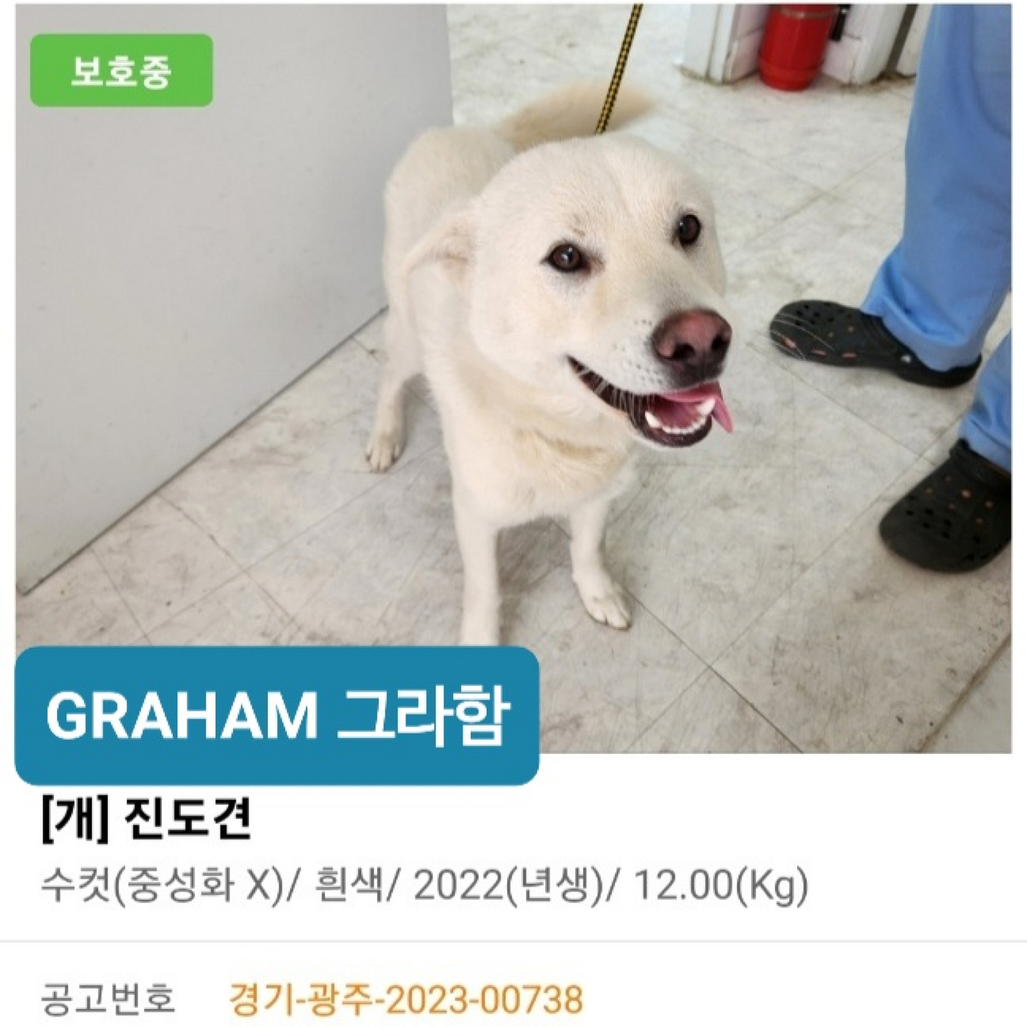 Graham